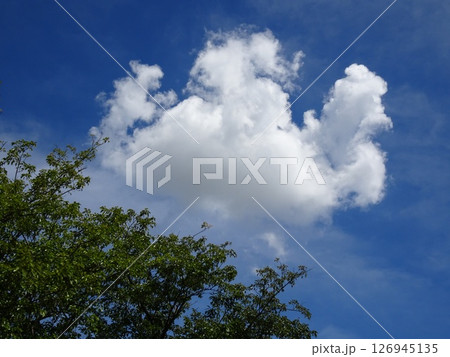 九月の雲-2 126945135