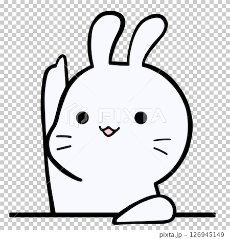 上を指す白うさぎ 上を指す白うさぎ 126945149