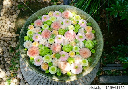 7922　花手水 126945183