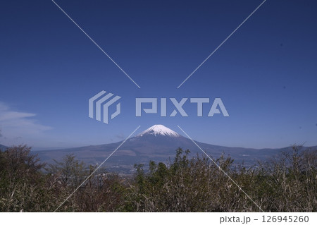 長尾峠から見た富士山　木立越し　遠景 126945260