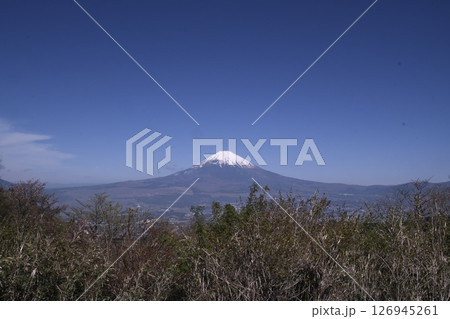 長尾峠から見た富士山木　立越し　遠景 126945261