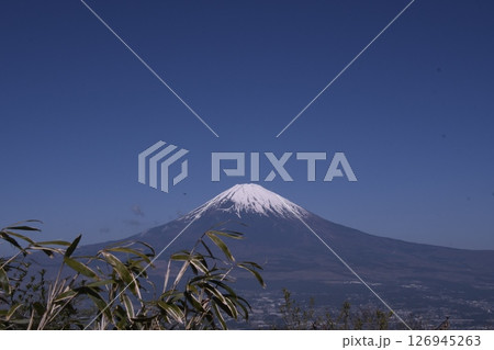 長尾峠から見た富士山　ササ越し 126945263