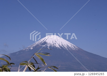 長尾峠から見た富士山　ササ越し 126945265