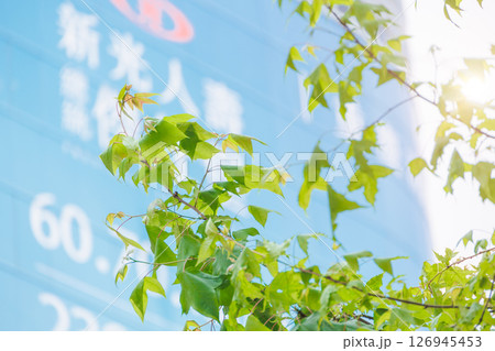 Modern downtown office building with plant tree nature for fresh air green city environmental Modern downtown office building with plant tree nature for fresh air green city environmental 126945453