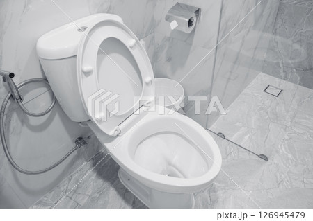 clean modern toilet bidet shower in the hotel bathroom, Restroom hygiene with stainless bidet spray 126945479