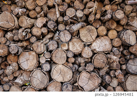 Closeup dry wood branch cut and stacked timber firewood, nature wood textures and patterns 126945481