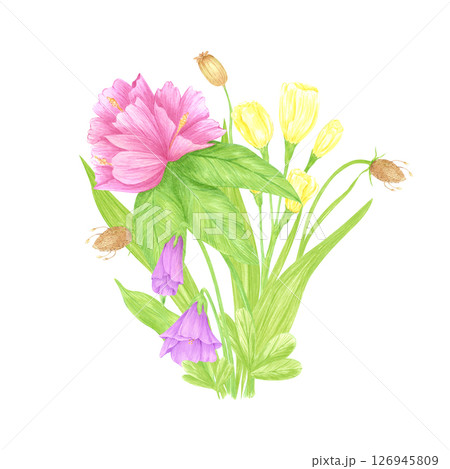 Hand drawn watercolor azalea lisianthus anemone bouquet. Flower of the field isolated on white background. Can be used for postcard, label, scrapbook and other printed products. 126945809