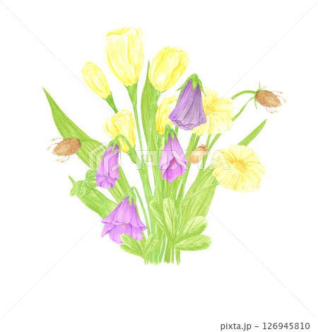 Hand drawn watercolor lisianthus and anemone bouquet. Flower of the field isolated on white background. Can be used for postcard, label, scrapbook and other printed products. 126945810