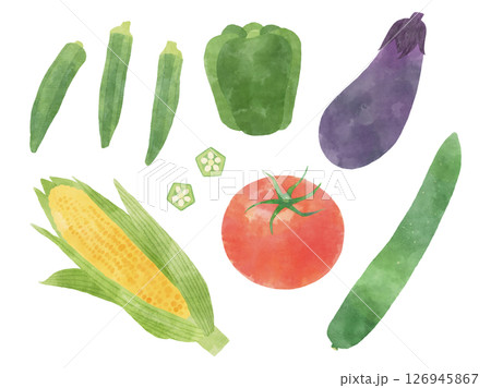 夏野菜セット　水彩タッチ 126945867