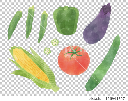 夏野菜セット　水彩タッチ 126945867
