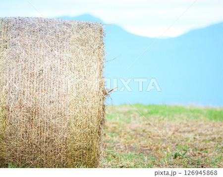 酪農王国である北海道の牧草ロールがある風景 126945868