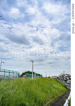 6月の奥戸に流れる中川土手と道路のある風景 126945880