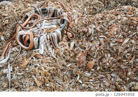 catch fresh sea fish and seafood on a fishing boat. Pile of sea fish on Asian sea market in Vietnam in Asia 126945958