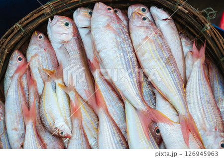 catch of fresh sea fish Threadfin Bream in a basket on a fishing vessel catch of fresh sea fish Threadfin Bream in a basket on a fishing vessel 126945963