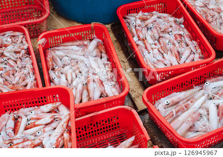 catch of fresh squid in containers at the Vietnamese seafood market in Vietnam catch of fresh squid in containers at the Vietnamese seafood market in Vietnam 126945967