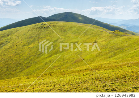 green slopes of borzhava ridge in summer. scenic landscape of carpathian mountains on a sunny day green slopes of borzhava ridge in summer. scenic landscape of carpathian mountains on a sunny day 126945992