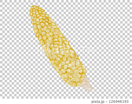 夏季蔬菜、玉米的簡單水彩插圖 夏季蔬菜、玉米的簡單水彩插圖 126946193