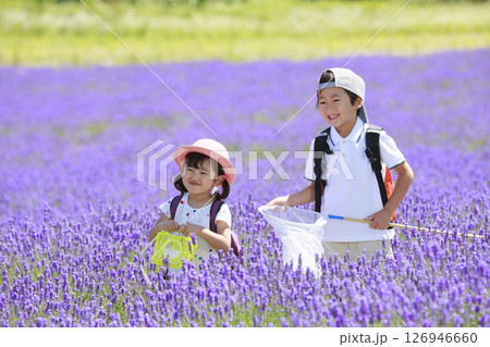 ラベンダー畑で虫取りをする兄妹 126946660