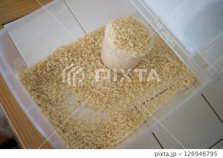 残り少ない米びつのお米 126946795