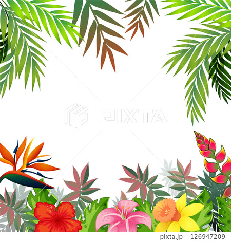 Tropical Floral and Leaf Frame Illustration Tropical Floral and Leaf Frame Illustration 126947209