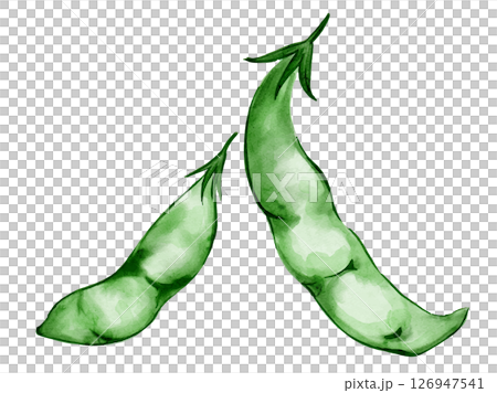 夏季蔬菜豌豆的水彩插圖 夏季蔬菜豌豆的水彩插圖 126947541