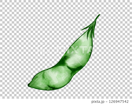 夏季蔬菜豌豆的水彩插圖 126947542