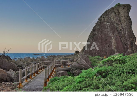 室戸岬にあるエボシ岩 室戸岬にあるエボシ岩 126947550