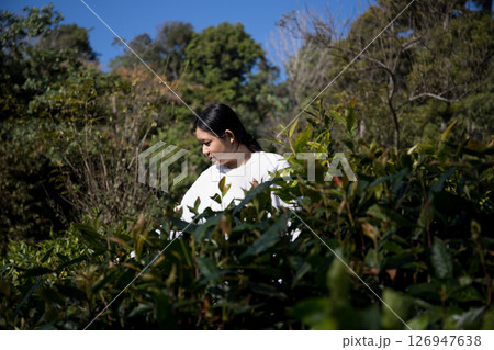 Business concept centers around fresh green tea reap background leaves organic farm with banner lush garden healthy plant tree leaves eco herbal farmer blur leaf plantation Freshness herbal natural Business concept centers around fresh green tea reap background leaves organic farm with banner lush garden healthy plant tree leaves eco herbal farmer blur leaf plantation Freshness herbal natural 126947638