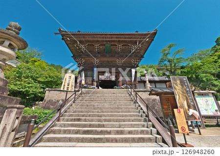 【長谷寺 仁王門】 奈良県桜井市初瀬 126948260