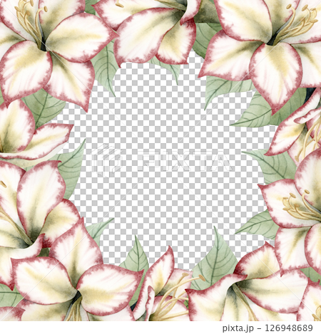 Watercolor Christmas flowers square frame with copy space. New Year hand drawn greeting card template for winter holidays with Amaryllis traditional plants. Hippeastrum bouquet floral clip art Watercolor Christmas flowers square frame with copy space. New Year hand drawn greeting card template for winter holidays with Amaryllis traditional plants. Hippeastrum bouquet floral clip art 126948689
