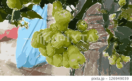 Background illustration with a picture of a green guava plant. Perfect for wallpapers, backgrounds, posters, banners, book covers 126949039