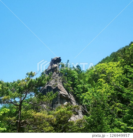 みずがき自然公園 登山 初夏 みずがき自然公園 登山 初夏 126949957