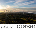Wind turbine in forest at sunrise, drone aerial view 126950245