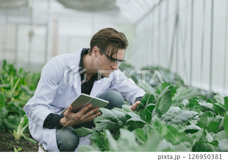 Modern farmer working plant research in organic farm. Biologist study collecting plant grow data Modern farmer working plant research in organic farm. Biologist study collecting plant grow data 126950381