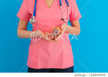 Doctor hold in hands anatomical model human stomach 126950444