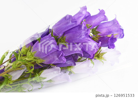 カンパニュラの花束 カンパニュラの花束 126951533
