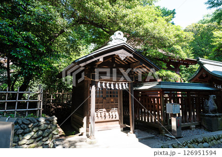 大國魂神社の本殿の裏を散策　春の青空　東京都府中市宮町 126951594