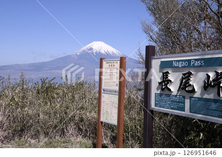 長尾峠から見た富士山 126951646