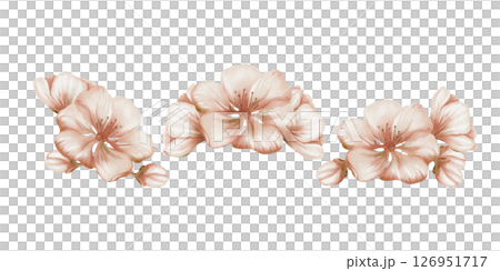 Cherry blossoms and its buds in compositions in hand drawn watercolor technique for decoration of goods and services Cherry blossoms and its buds in compositions in hand drawn watercolor technique for decoration of goods and services 126951717