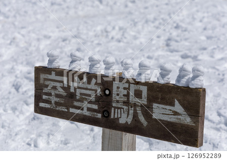 雪の室堂駅看板に並ぶ雪のミニ恐竜たち(立山) 雪の室堂駅看板に並ぶ雪のミニ恐竜たち(立山) 126952289