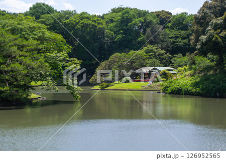 六義園の風景 126952565