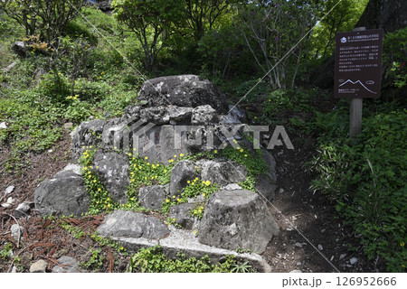 第十九代横綱常陸山の手形石 第十九代横綱常陸山の手形石 126952666