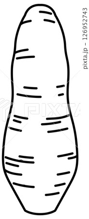 シンプルですっきりしたさつまいもの線画 シンプルですっきりしたさつまいもの線画 126952743