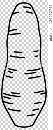 シンプルですっきりしたさつまいもの線画 シンプルですっきりしたさつまいもの線画 126952743