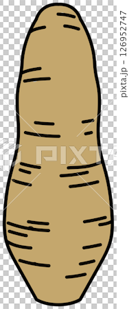 フラットカラーで描かれたさつまいものイラスト 126952747