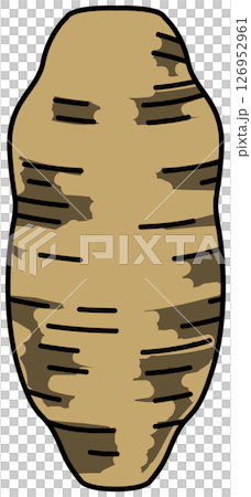 色付きの丸ごとさつまいものイラスト 色付きの丸ごとさつまいものイラスト 126952961