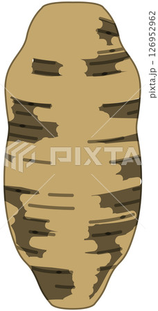 リアルな影付きさつまいものベクターイラスト リアルな影付きさつまいものベクターイラスト 126952962