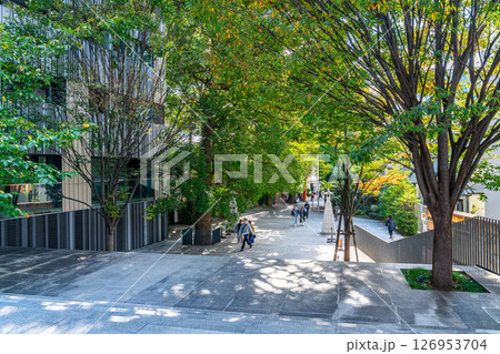 【東京都】神楽坂の街中にある赤城神社の境内 126953704