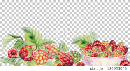 Raspberry ripe berries with leaves served in glass bowls, hand drawn in watercolor, scattered picked harvest. Isolated seamless banner. Dessert cafe menu, cookbook, craft farmers market, gardening eco 126953946