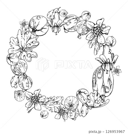 Gooseberry Currant berries leaves flowers, water splash dew drops, wreath hand drawn in vector ink. Ripe garden juneberry casseille jostaberry. Isolated circle frame. Fresh grocery, wedding florist 126953967